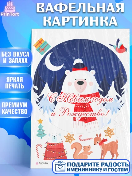 Вафельная картинка, Новый год, Девочка, арт. PT205829