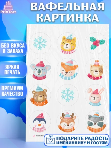 Вафельная картинка, Новый год, Девочка, арт. PT205836