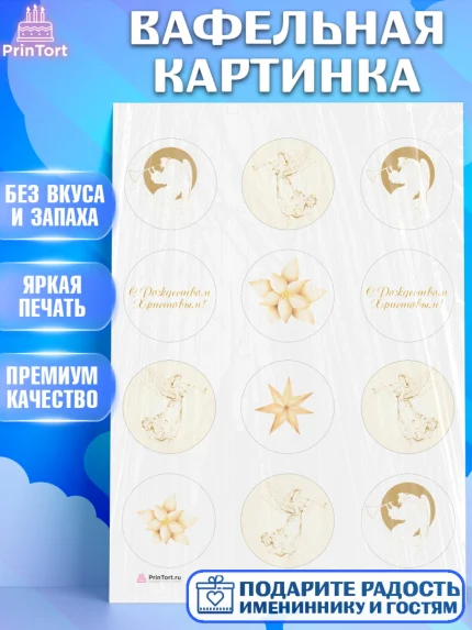 Вафельная картинка, Новый год, Девочка, арт. PT205856