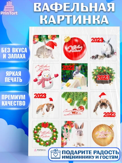 Вафельная картинка, Новый год, Девочка, арт. PT205949