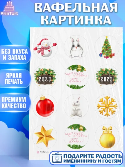 Вафельная картинка, Новый год, Девочка, арт. PT205950