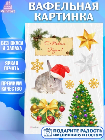 Вафельная картинка, Новый год, Девочка, арт. PT205951