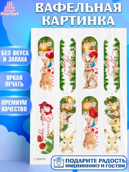 Вафельная картинка, Новый год, Девочка, арт. PT205953
