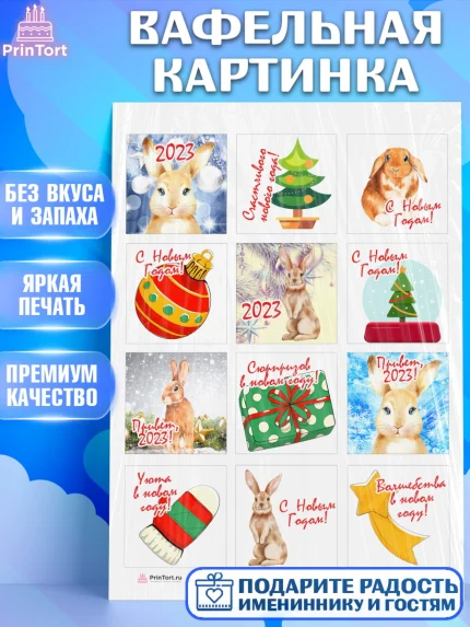 Вафельная картинка, Новый год, Девочка, арт. PT205954