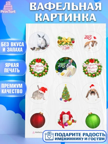 Вафельная картинка, Новый год, Девочка, арт. PT205955