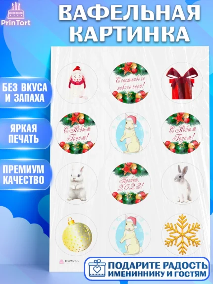 Вафельная картинка, Новый год, Девочка, арт. PT205958