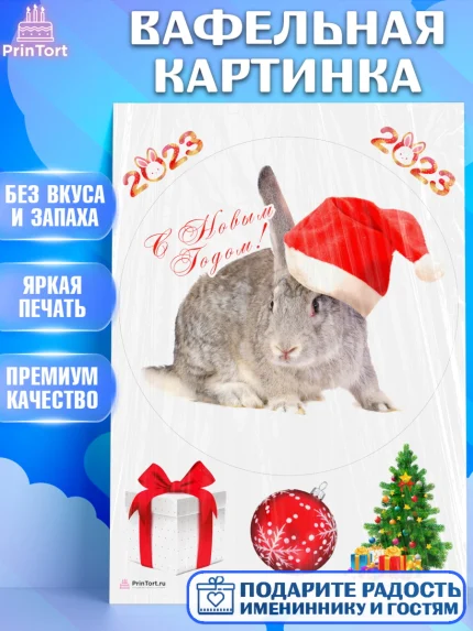 Вафельная картинка, Новый год, Девочка, арт. PT205960