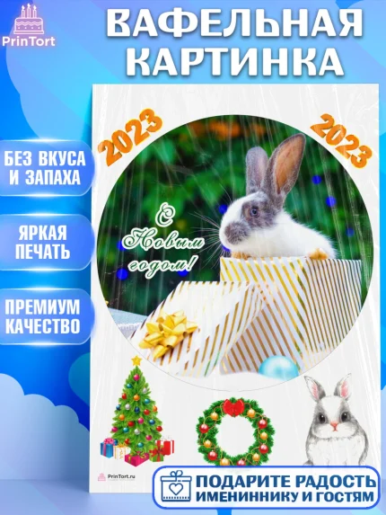Вафельная картинка, Новый год, Девочка, арт. PT205964