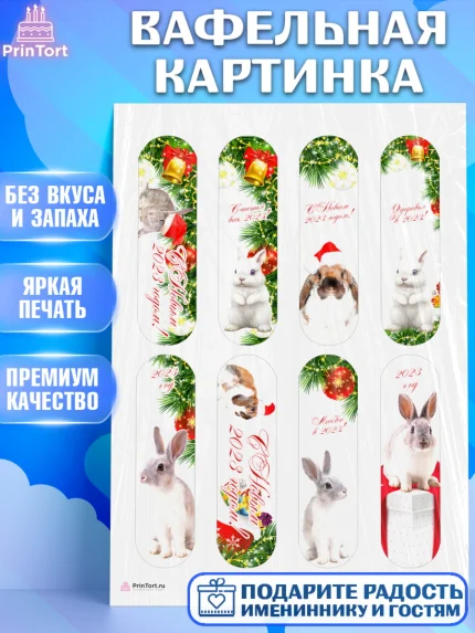 Вафельная картинка, Новый год, Девочка, арт. PT205968