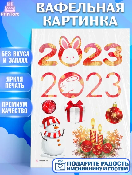 Вафельная картинка, Новый год, Девочка, арт. PT205983