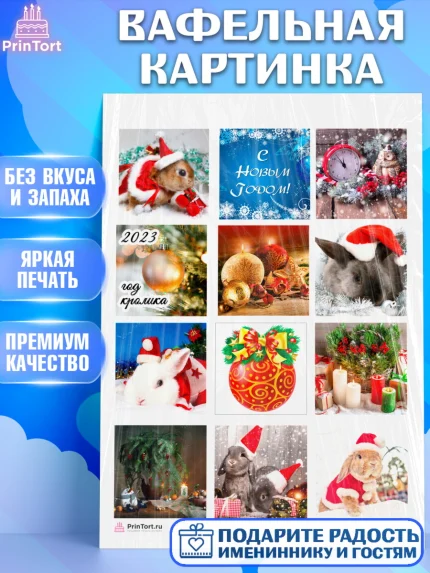 Вафельная картинка, Новый год, Девочка, арт. PT206439