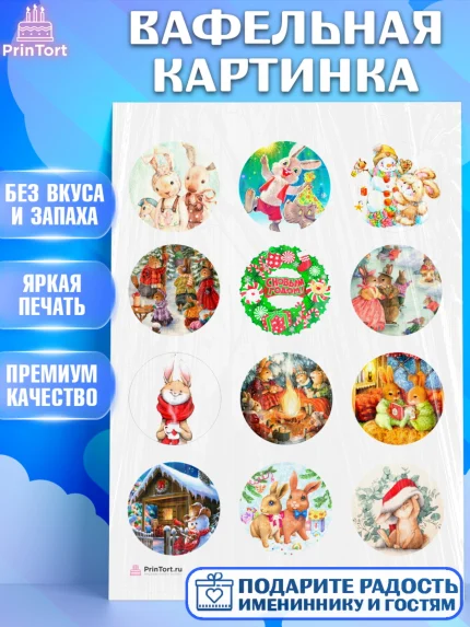 Вафельная картинка, Новый год, Девочка, арт. PT206441