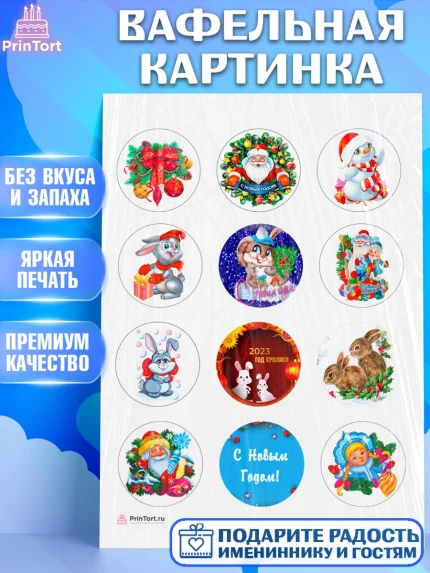 Вафельная картинка, Новый год, Девочка, арт. PT206443
