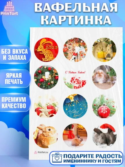 Вафельная картинка, Новый год, Девочка, арт. PT206444