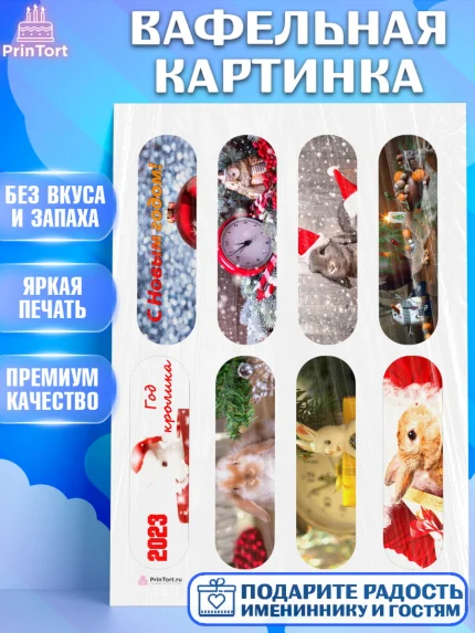 Вафельная картинка, Новый год, Девочка, арт. PT206457