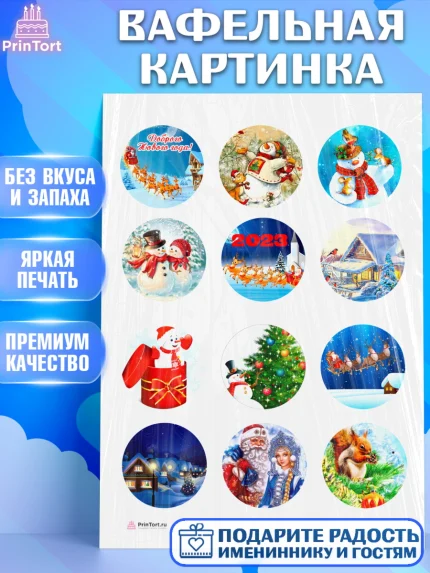 Вафельная картинка, Новый год, Девочка, арт. PT206460