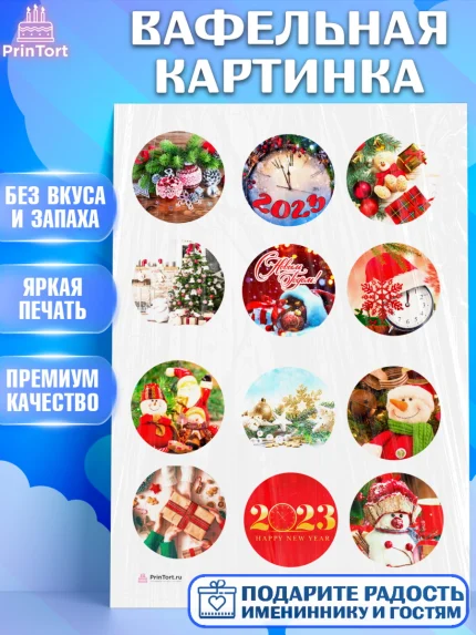 Вафельная картинка, Новый год, Девочка, арт. PT206461