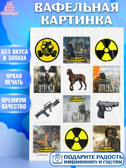 Вафельная картинка, Сталкер, Stalker, Мальчик, День рождения, арт. PT206698