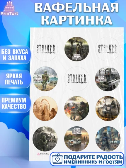 Вафельная картинка, Сталкер, Stalker, Мальчик, День рождения, арт. PT206699