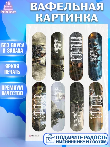 Вафельная картинка, Сталкер, Stalker, Мальчик, День рождения, арт. PT206702