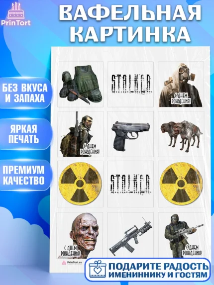 Вафельная картинка, Сталкер, Stalker, Мальчик, День рождения, арт. PT206704