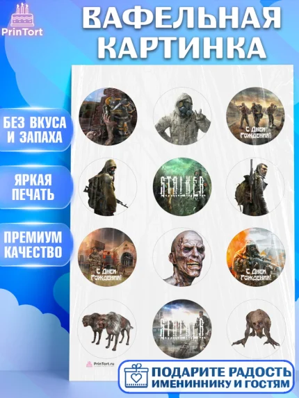 Вафельная картинка, Сталкер, Stalker, Мальчик, День рождения, арт. PT206708