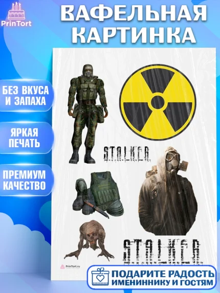 Вафельная картинка, Сталкер, Stalker, Мальчик, День рождения, арт. PT206709