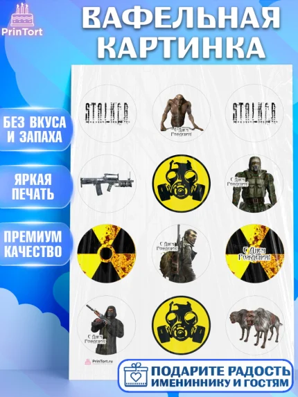 Вафельная картинка, Сталкер, Stalker, Мальчик, День рождения, арт. PT206711