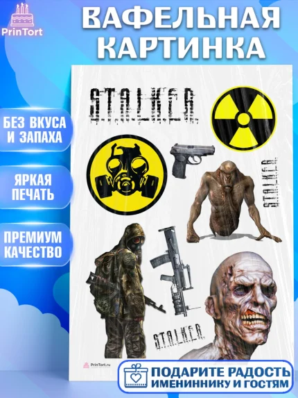 Вафельная картинка, Сталкер, Stalker, Мальчик, День рождения, арт. PT206712