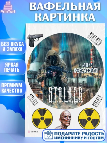 Вафельная картинка, Сталкер, Stalker, Мальчик, День рождения, арт. PT206713