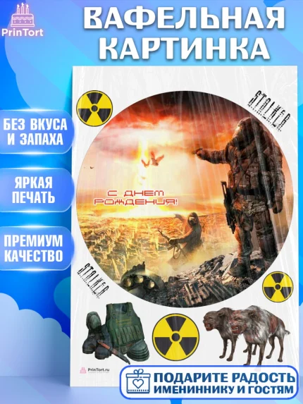 Вафельная картинка, Сталкер, Stalker, Мальчик, День рождения, арт. PT206716