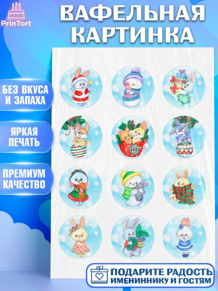 Вафельная картинка, Новый год, Девочка, арт. PT206868