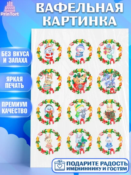 Вафельная картинка, Новый год, Девочка, арт. PT206876