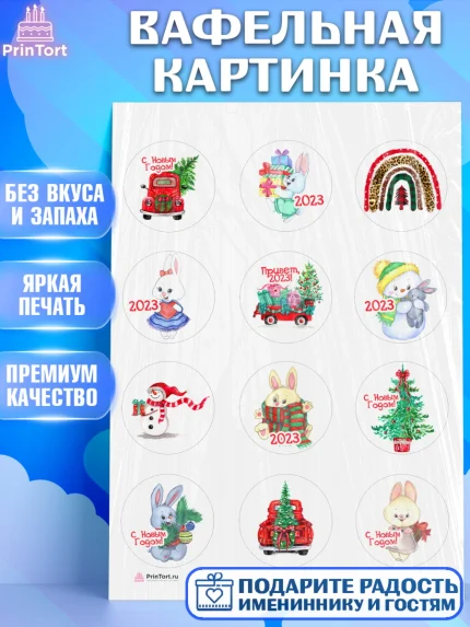 Вафельная картинка, Новый год, Девочка, арт. PT206899
