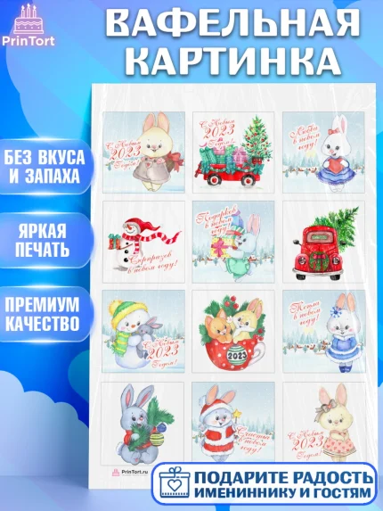 Вафельная картинка, Новый год, Девочка, арт. PT206906