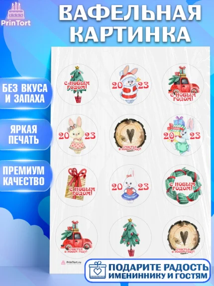 Вафельная картинка, Новый год, Девочка, арт. PT206907