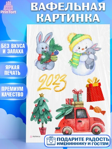 Вафельная картинка, Новый год, Девочка, арт. PT206908