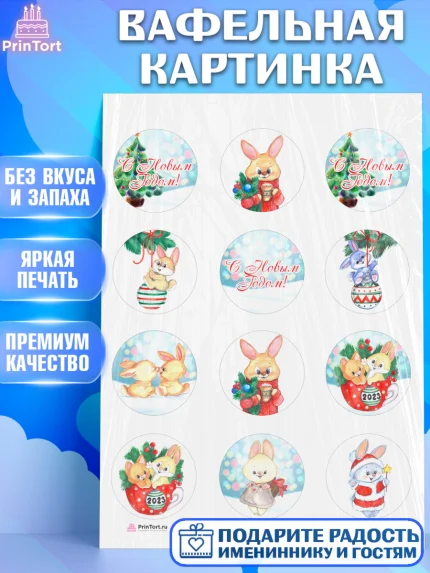 Вафельная картинка, Новый год, Девочка, арт. PT206911