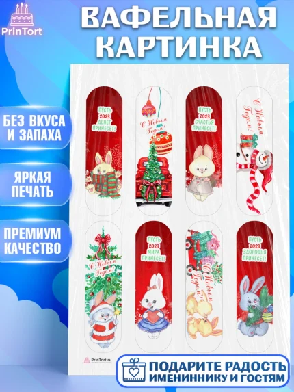 Вафельная картинка, Новый год, Девочка, арт. PT206913