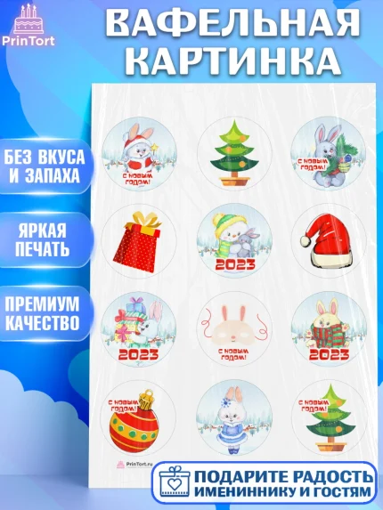 Вафельная картинка, Новый год, Девочка, арт. PT206916