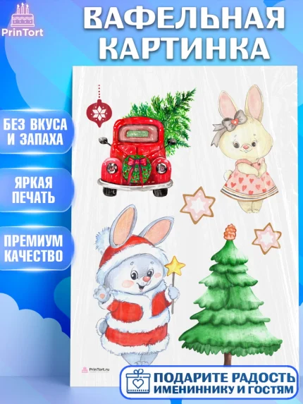 Вафельная картинка, Новый год, Девочка, арт. PT206919