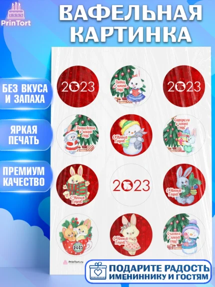 Вафельная картинка, Новый год, Девочка, арт. PT206920