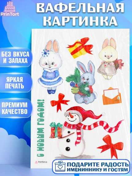 Вафельная картинка, Новый год, Девочка, арт. PT206921