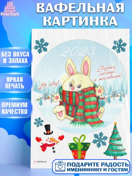Вафельная картинка, Новый год, Девочка, арт. PT206923