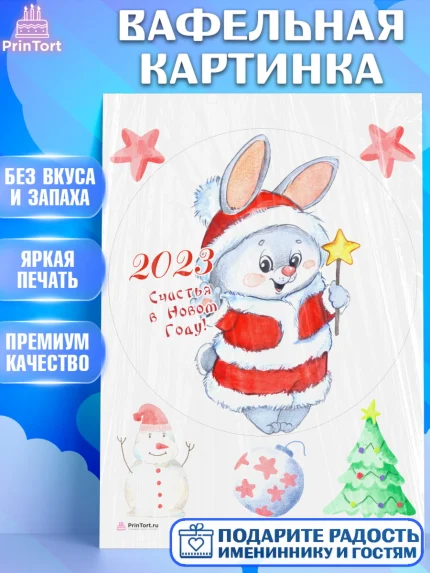 Вафельная картинка, Новый год, Девочка, арт. PT206926