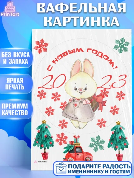 Вафельная картинка, Новый год, Девочка, арт. PT206930
