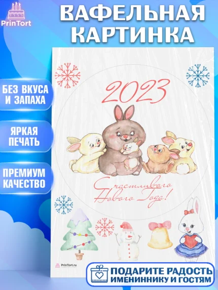 Вафельная картинка, Новый год, Девочка, арт. PT206932