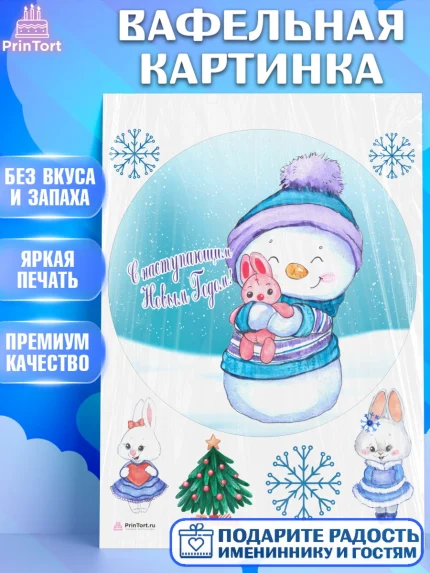 Вафельная картинка, Новый год, Девочка, арт. PT206935