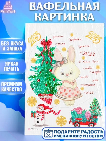 Вафельная картинка, Новый год, Девочка, арт. PT206936