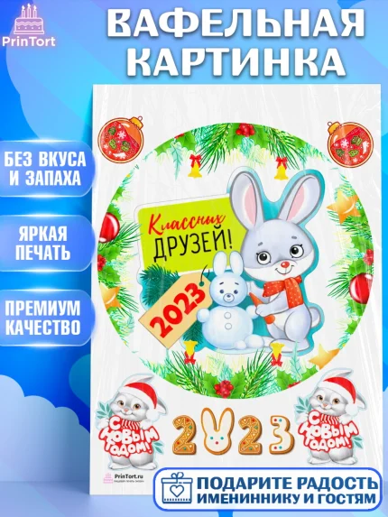 Вафельная картинка, Новый год, Девочка, арт. PT207029